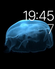 蘋果applewatch評(píng)測(cè)蘋果手表評(píng)測(cè)體驗(yàn)