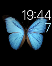 蘋果applewatch評(píng)測(cè)蘋果手表評(píng)測(cè)體驗(yàn)