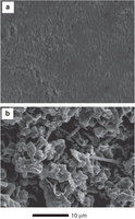 科學家成功找到解決鋰電池安全隱患的新方式