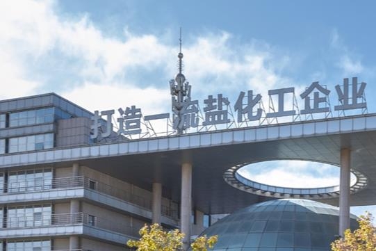 這家鹽化工企業(yè)入局電解液領域 擬投18.78億建新項目
