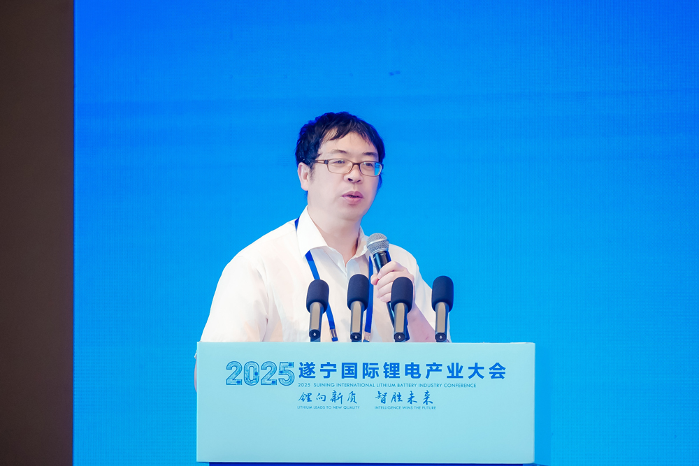 非洲科學院院士/德國薩克森科學院通訊院士/東南大學能源與環(huán)境學院教授/東南大學新一代儲能中心執(zhí)行主任 吳宇平