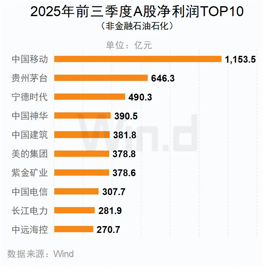 2025年前三季度A股凈利潤(rùn)TOP10（非金融石油石化）