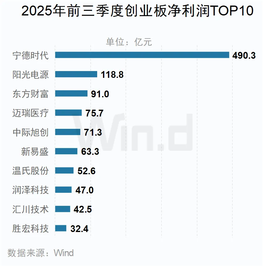 2025年前三季度創(chuàng)業(yè)板凈利潤(rùn)TOP10公司