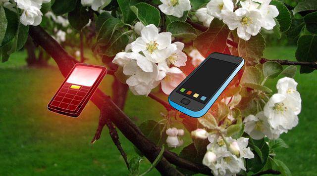 國產手機新品集體發“春”季：4G催壓 繞開蘋果