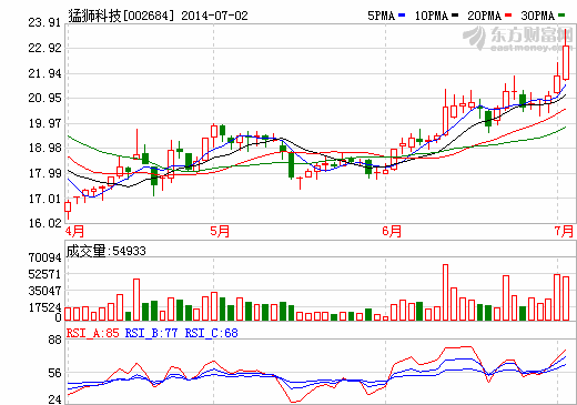 猛獅科技首批電動(dòng)汽車(chē)樣車(chē)已完工 含車(chē)用鋰電池