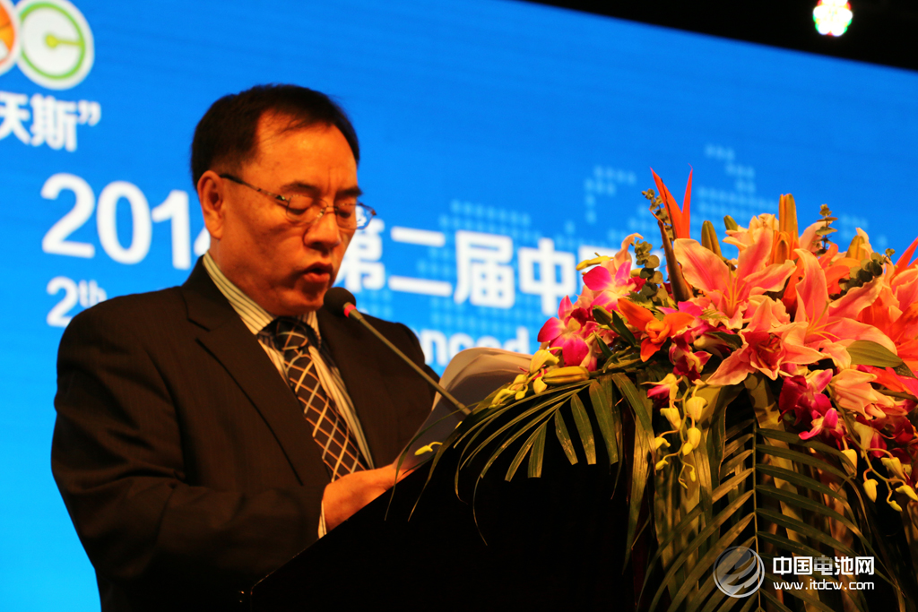 第二屆鋰電“達沃斯”論壇學術委員會主席、北京大學教授其魯
