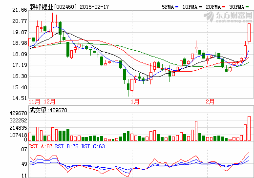 贛鋒鋰業遭深交所通報批評處分 因隱瞞重大事項