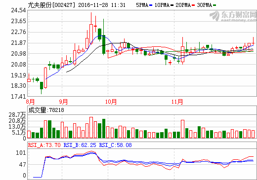 尤夫股份加碼3億元 加速打造新能源業(yè)績(jī)新引擎