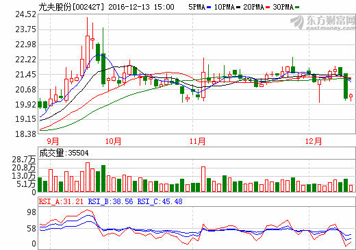 尤夫股份12月13日股價(jià)走勢(shì)圖