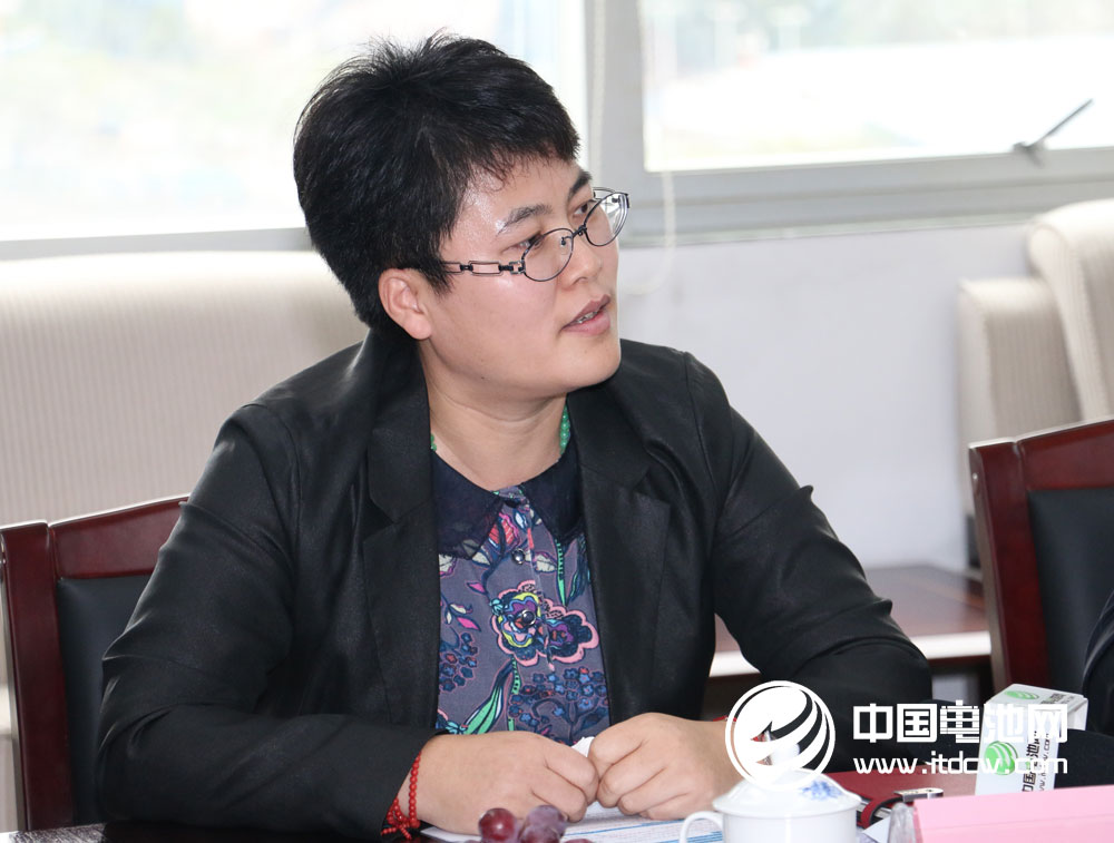 比克電池企管中心副總裁李鳳梅 比克電池企管中心副總裁李鳳梅