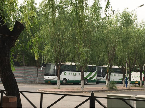 停車場未被燒毀的車輛 停車場未被燒毀的車輛