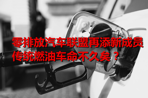 多國公布禁售燃油車時間表 傳統燃油車命不久矣？