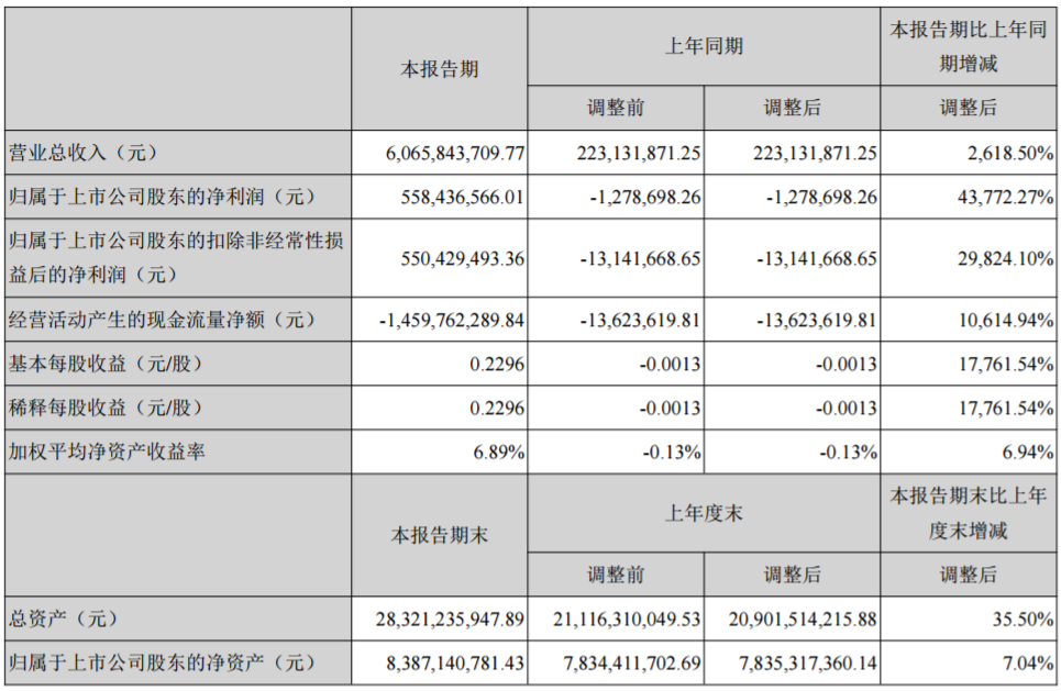 堅瑞沃能主要會計數據和財務指標