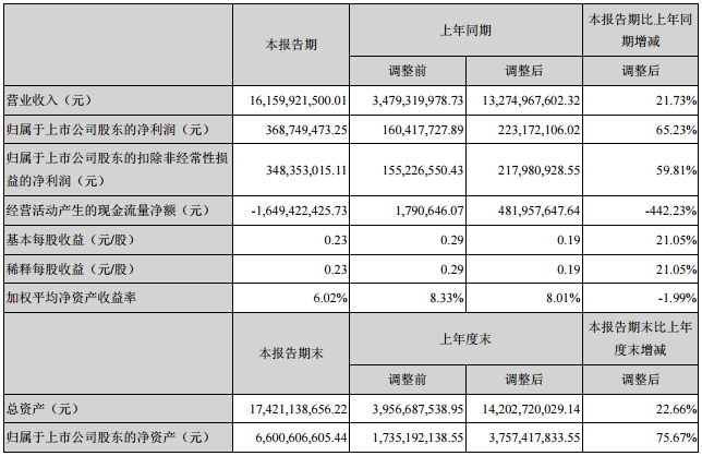 江蘇國泰主要會計數據和財務指標