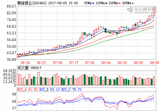贛鋒鋰業(yè)
