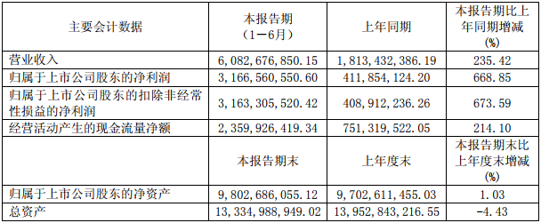 方大炭素主要會計數據和財務指標（單位：元 幣種：人民幣）