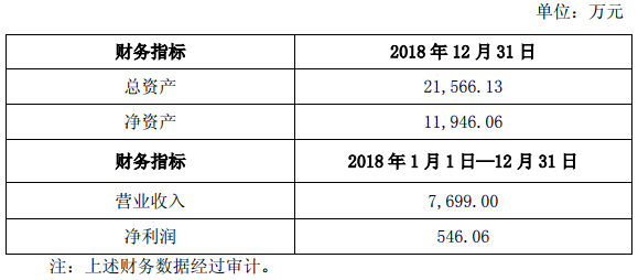 新源動力2018年的主要財務(wù)數(shù)據(jù)