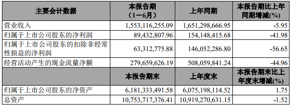寶泰隆上半年業(yè)績(jī)（單位：元）