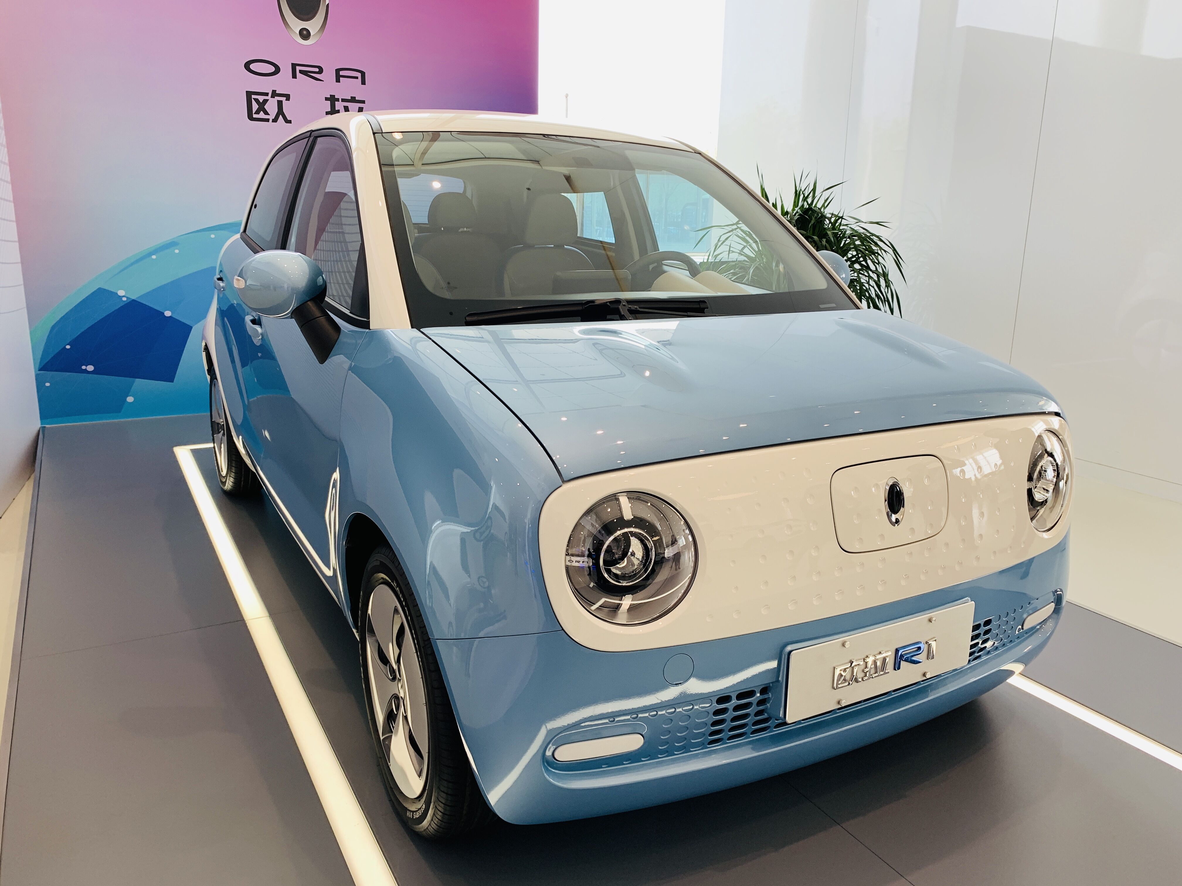長(zhǎng)城汽車歐拉R1 長(zhǎng)城汽車歐拉R1