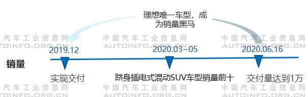 新勢力車企分級明顯 頭部車企各具規劃