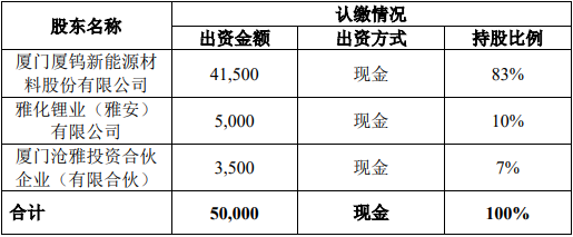 項(xiàng)目公司注冊資本、股權(quán)結(jié)構(gòu)(單位/萬元) 項(xiàng)目公司注冊資本、股權(quán)結(jié)構(gòu)(單位/萬元)