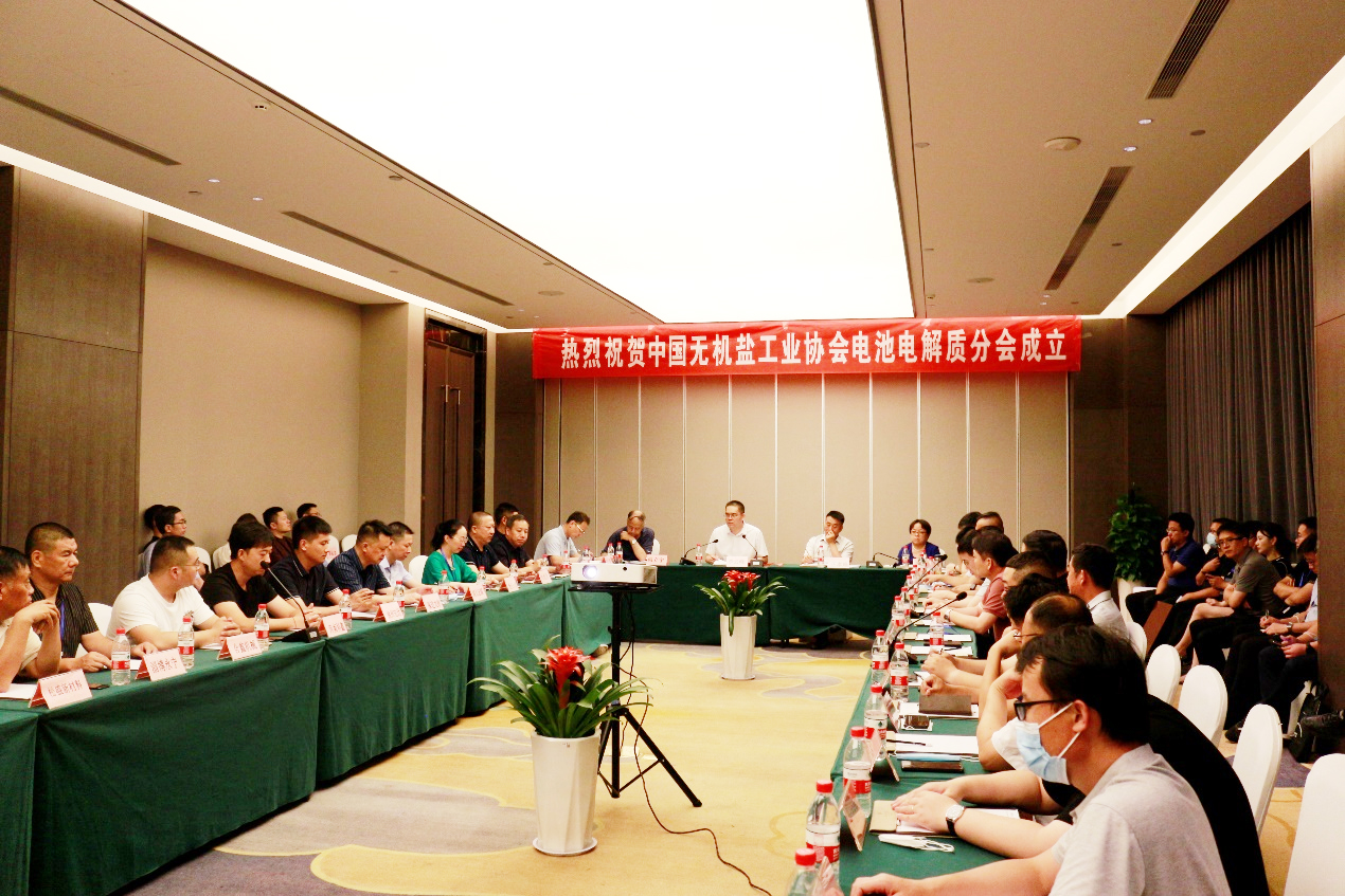 中國無機(jī)鹽工業(yè)協(xié)會電池電解質(zhì)分會正式成立