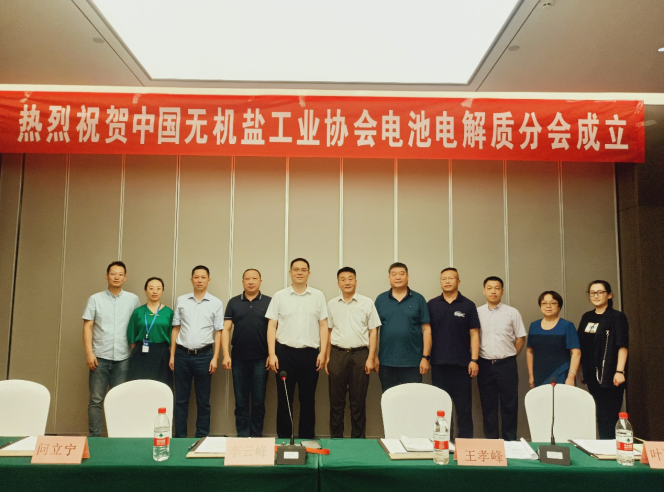 中國無機(jī)鹽工業(yè)協(xié)會電池電解質(zhì)分會正式成立