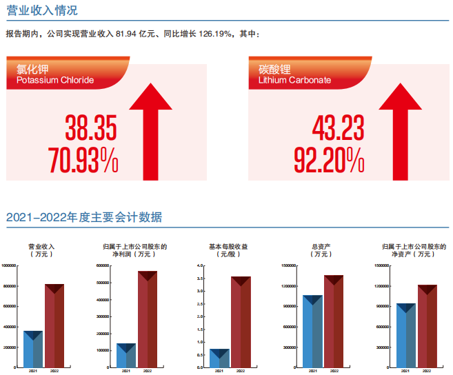 藏格礦業(yè)